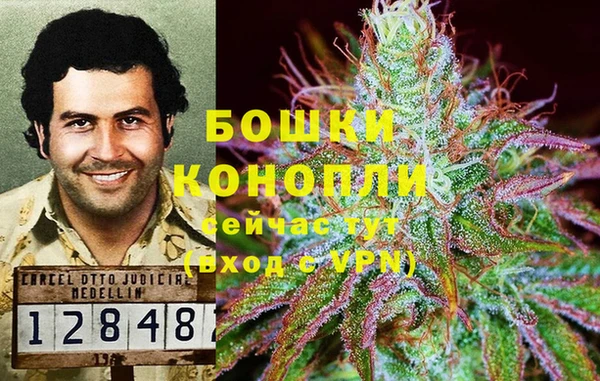 трава Гусев