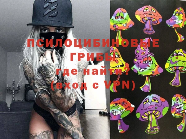 экстази Гусь-Хрустальный