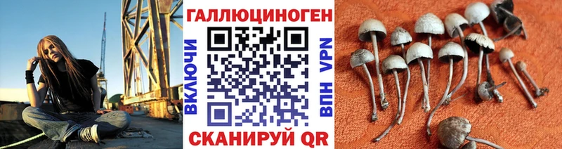 Псилоцибиновые грибы Psilocybine cubensis  Щёлково 