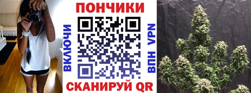 Каннабис ГИДРОПОН  сколько стоит  Щёлково 